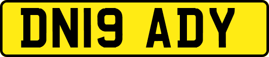DN19ADY