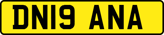 DN19ANA