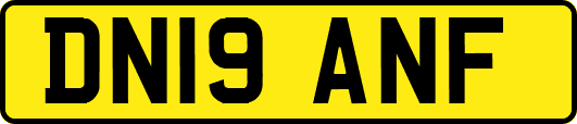 DN19ANF