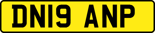 DN19ANP