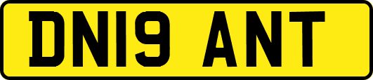 DN19ANT