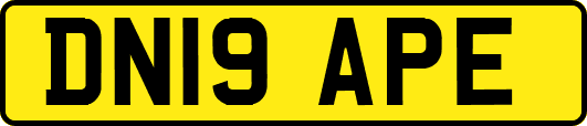 DN19APE