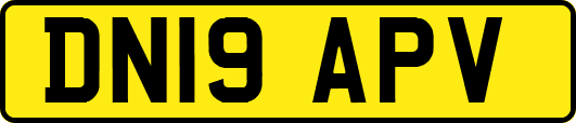 DN19APV