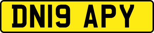 DN19APY