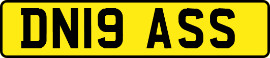DN19ASS
