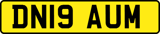 DN19AUM