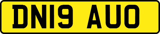 DN19AUO