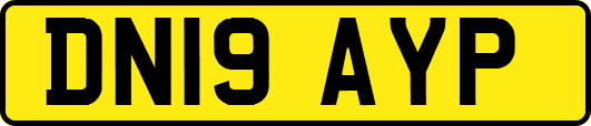 DN19AYP