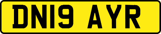 DN19AYR