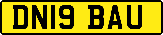 DN19BAU