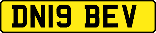 DN19BEV