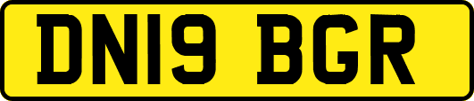 DN19BGR