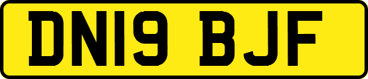 DN19BJF