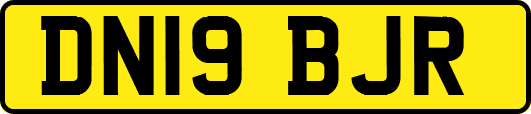 DN19BJR