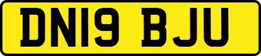 DN19BJU