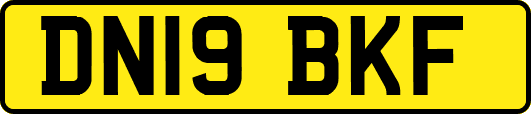 DN19BKF