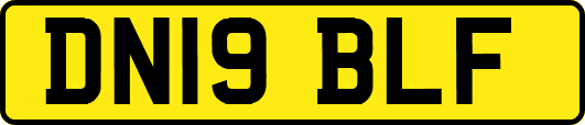 DN19BLF
