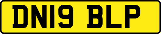 DN19BLP