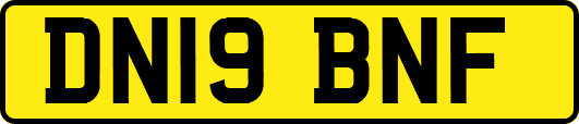 DN19BNF
