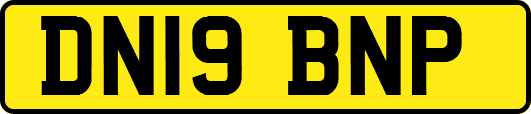 DN19BNP