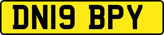 DN19BPY