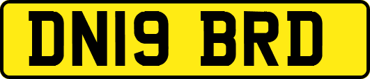 DN19BRD