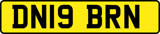 DN19BRN