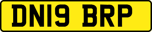 DN19BRP