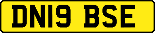 DN19BSE