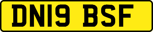 DN19BSF