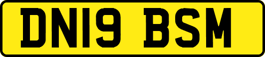 DN19BSM