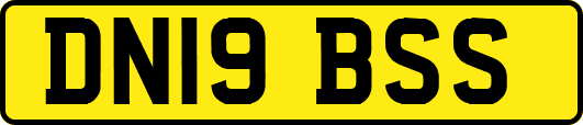 DN19BSS