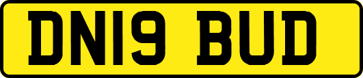 DN19BUD
