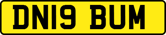 DN19BUM