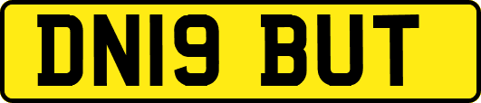 DN19BUT