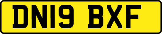 DN19BXF