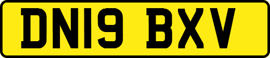 DN19BXV