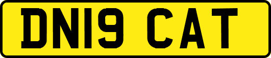 DN19CAT