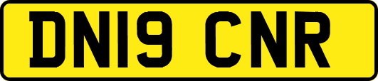 DN19CNR