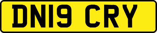 DN19CRY