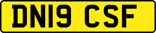 DN19CSF