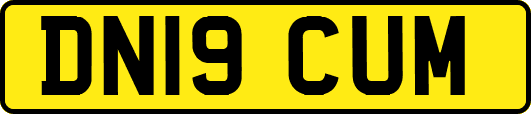 DN19CUM
