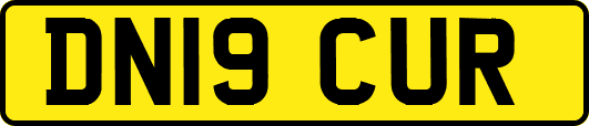 DN19CUR