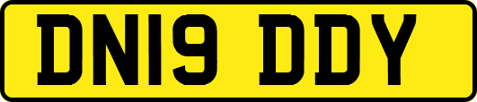 DN19DDY