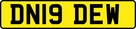 DN19DEW