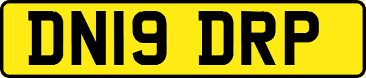 DN19DRP