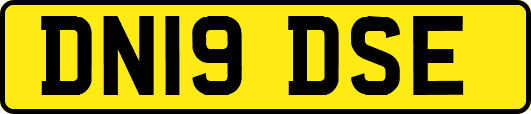 DN19DSE
