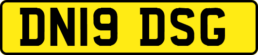 DN19DSG