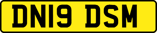 DN19DSM