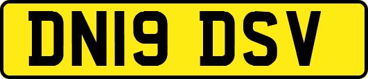 DN19DSV